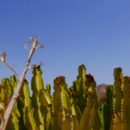 La Fragüilla Casa rural Rodalquilar